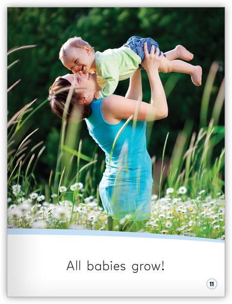 My World: Animal Babies