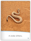 My World: Animals Move!