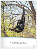 My World: Animals Move!