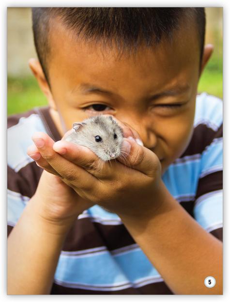 My World: Pets