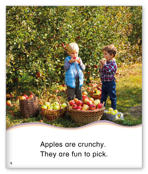 Kid Lit Level D(Culture)Harvest Time