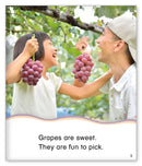 Kid Lit Level D(Culture)Harvest Time