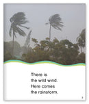 Kid Lit Level C(Weather)Here Comes the Rainstorm