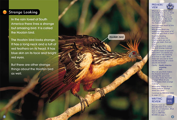 Key Links Turquoise, Level 17-18: The Hoatzin Bird