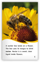 How Bees Make Honey (Fables & The Real World)