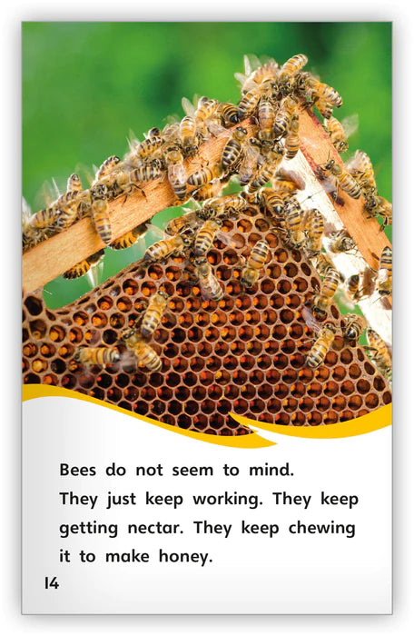 How Bees Make Honey (Fables & The Real World)