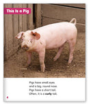 All About Pigs (Story World Real World)