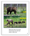 Bears (Story World Real World)