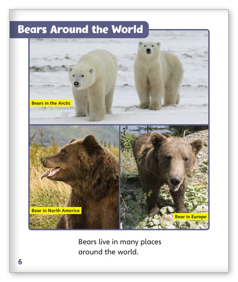 Bears (Story World Real World)