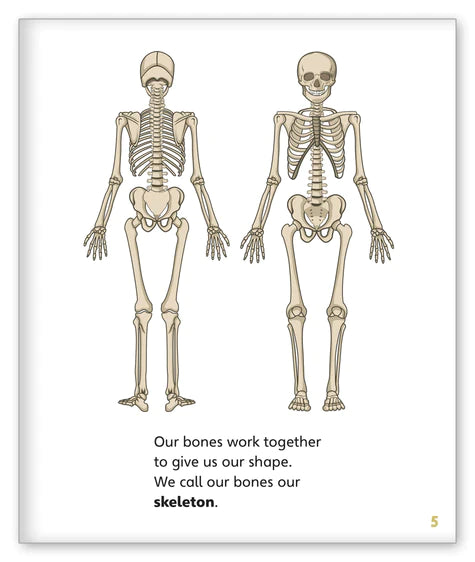 Bones (Story World Real World)