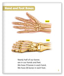 Bones (Story World Real World)