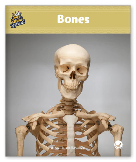 Bones (Story World Real World)