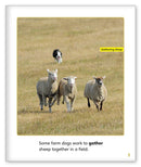 Dogs at Work (Story World Real World)