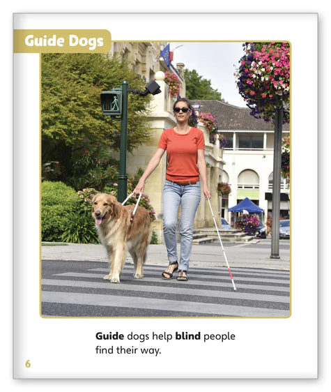 Dogs at Work (Story World Real World)