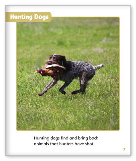 Dogs at Work (Story World Real World)