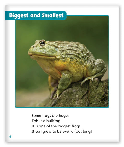 Fantastic Frogs (Story World Real World)