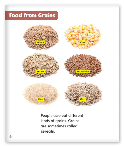 Great Grains (Story World Real World)