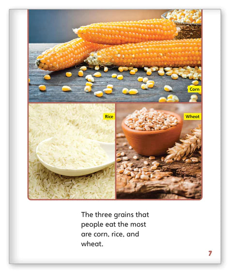 Great Grains (Story World Real World)