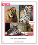 Lions (Story World Real World)