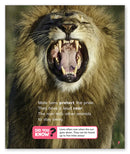 Lions (Story World Real World)