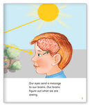 Magic Mirror (Story World Real World)