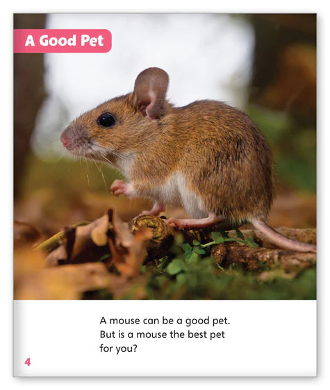Pet Mice (Story World Real World)