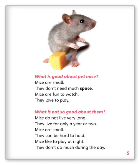 Pet Mice (Story World Real World)