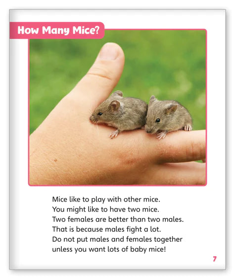 Pet Mice (Story World Real World)