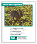 Run! Run! As Fast As You Can!  (Story World Real World)