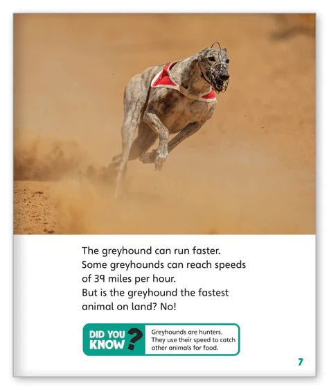Run! Run! As Fast As You Can!  (Story World Real World)