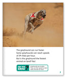 Run! Run! As Fast As You Can!  (Story World Real World)