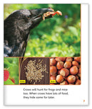 Smart Crows (Story World Real World)