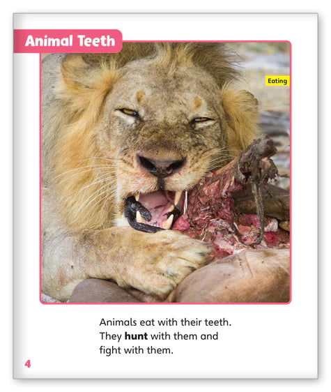 Terrific Teeth (Story World Real World)