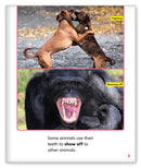 Terrific Teeth (Story World Real World)