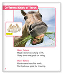 Terrific Teeth (Story World Real World)