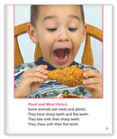 Terrific Teeth (Story World Real World)