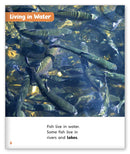 Who Needs Water? (Story World Real World)