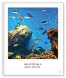 Who Needs Water? (Story World Real World)