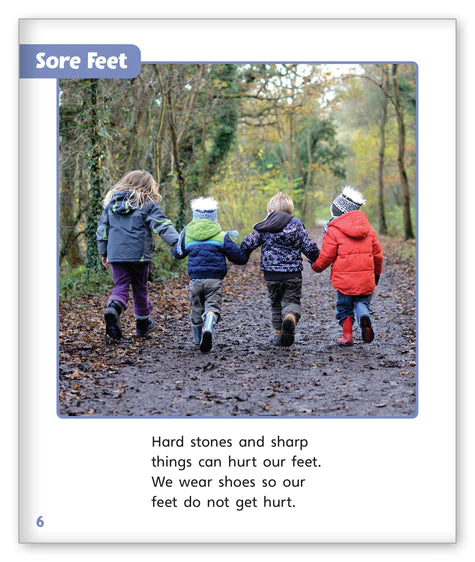 Why Do We Wear Shoes?(Story World Real World)