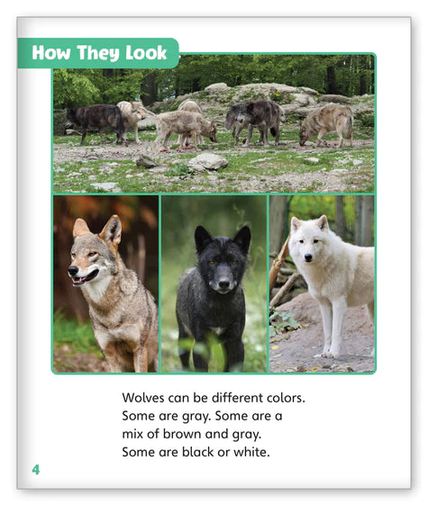 Wolves in the Wild (Story World Real World)