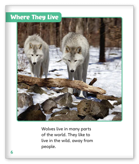 Wolves in the Wild (Story World Real World)