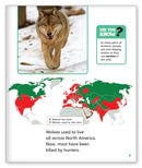 Wolves in the Wild (Story World Real World)