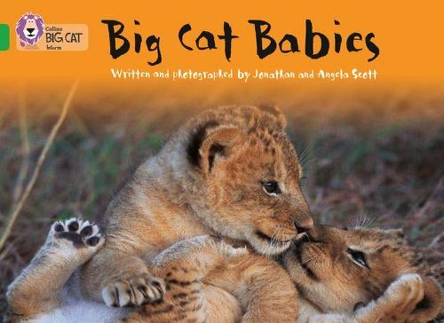 Collins Big Cat Green (Band 5): Big Cat Babies