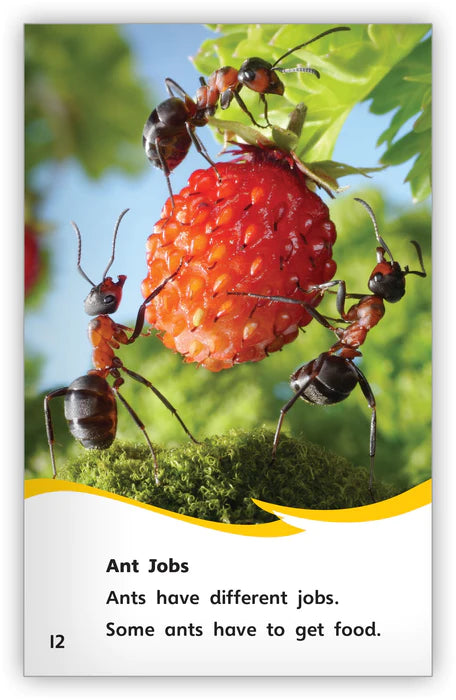 Incredible Ants (Fables & The Real World)