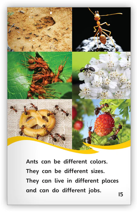 Incredible Ants (Fables & The Real World)