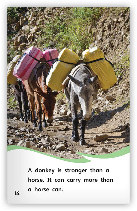 Is It a Donkey or a Horse? (Fables & The Real World)