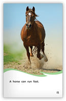 Is It a Donkey or a Horse? (Fables & The Real World)