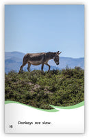 Is It a Donkey or a Horse? (Fables & The Real World)