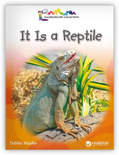 Kaleidoscope Big Book GR-B: It Is a Reptile