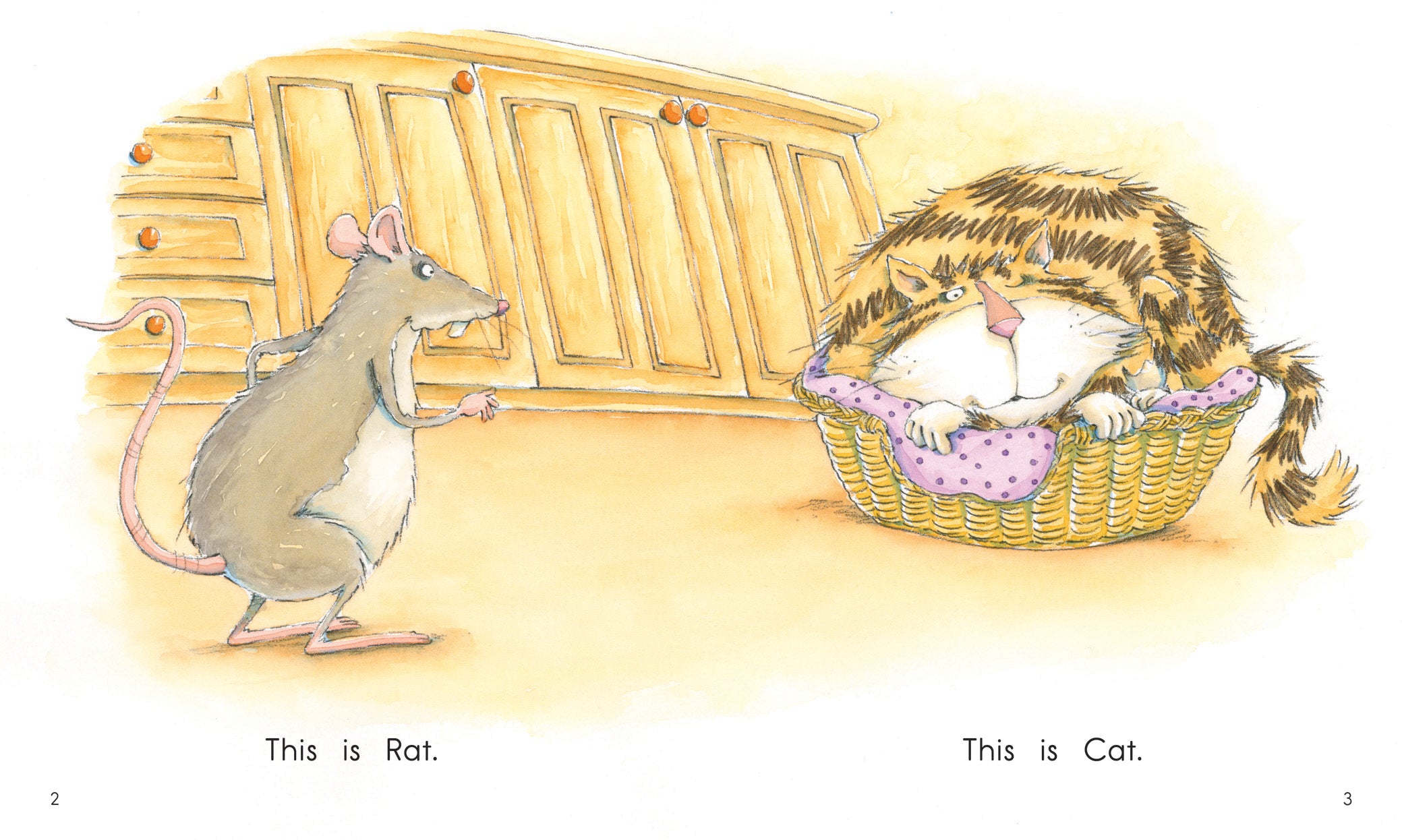 Junior: Cat and Rat (L5)